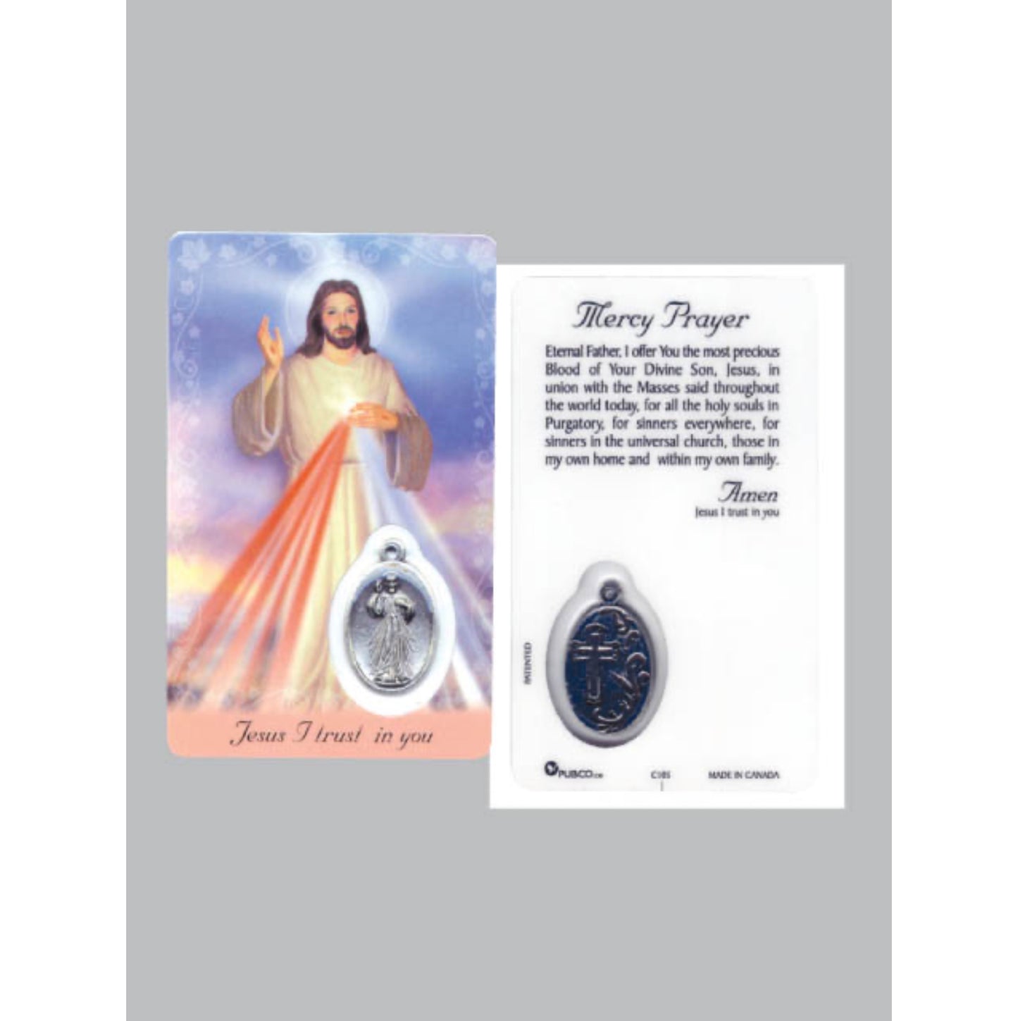 Laminated Window Prayer Card & Charm Divine Mercy Prayer