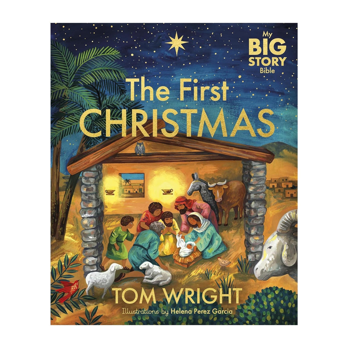 My Big Story: The First Christmas (Hard Cover)