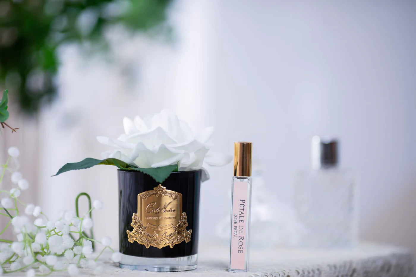 Cote Noire Single French Rose Perfumed Natural Touch Ivory White In Black Glass With Gold Crest