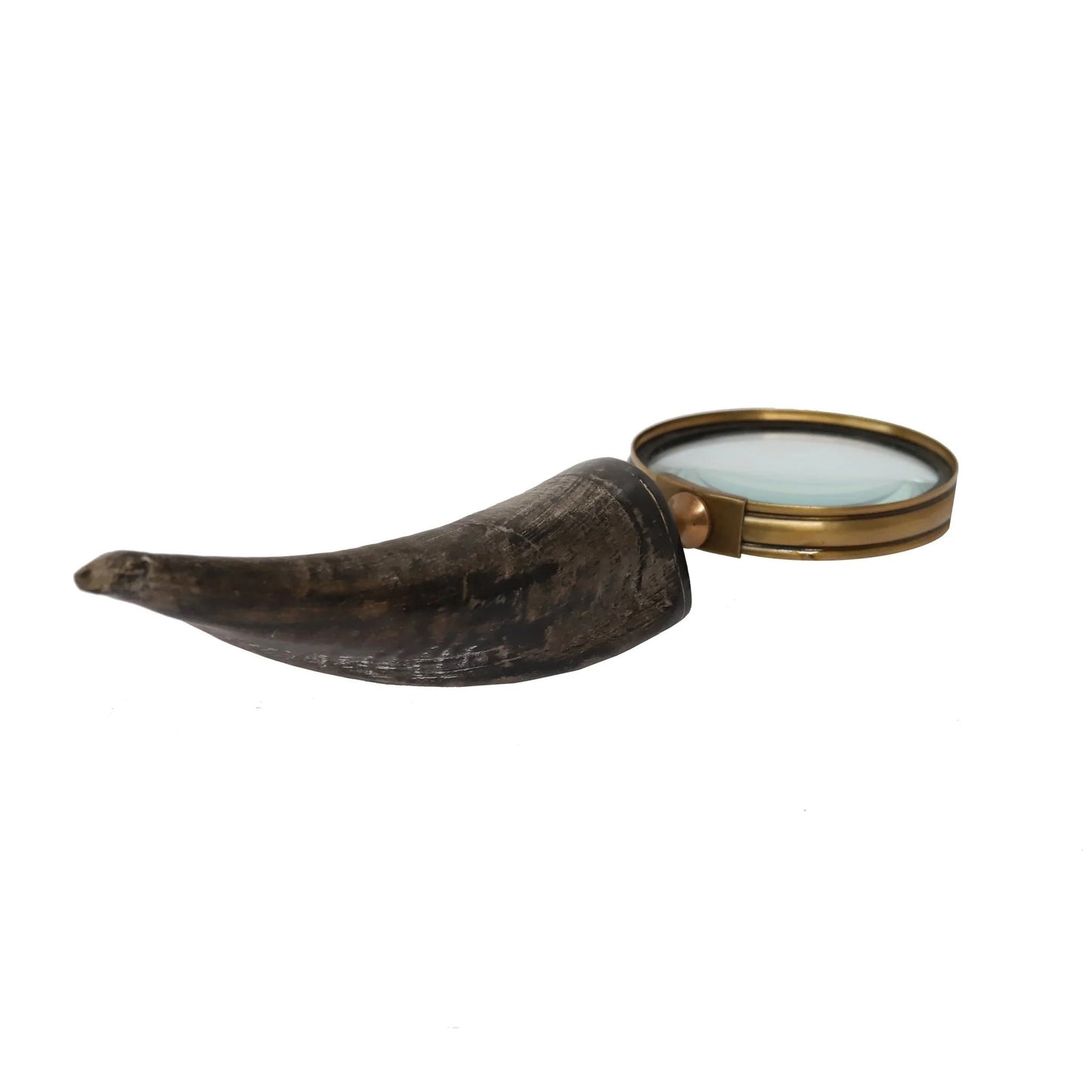Magnifying Glass With Curved Horn Handle