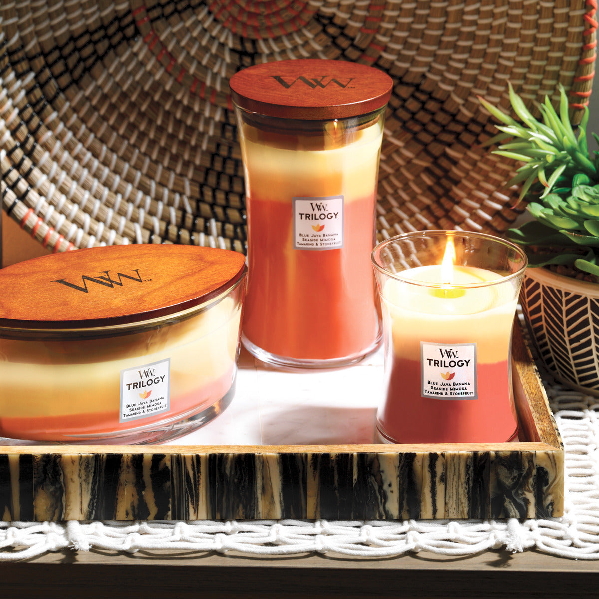 WOODWICK CANDLE MEDIUM TRILOGY TROPICAL SUNRISE