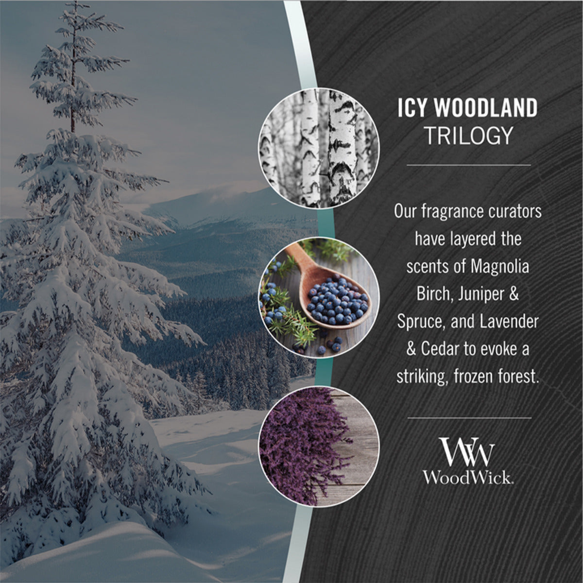 WOODWICK CANDLE MEDIUM ICY WOODLAND TRILOGY