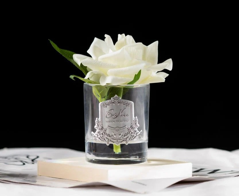 COTE NOIRE PERFUMED NATURAL TOUCH SINGLE ROSE CLEAR GLASS IN IVORY WHITE