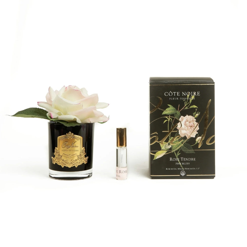 COTE NOIRE PERFUMED NATURAL TOUCH SINGLE ROSE BLACK GLASS IN PINK BLUSH