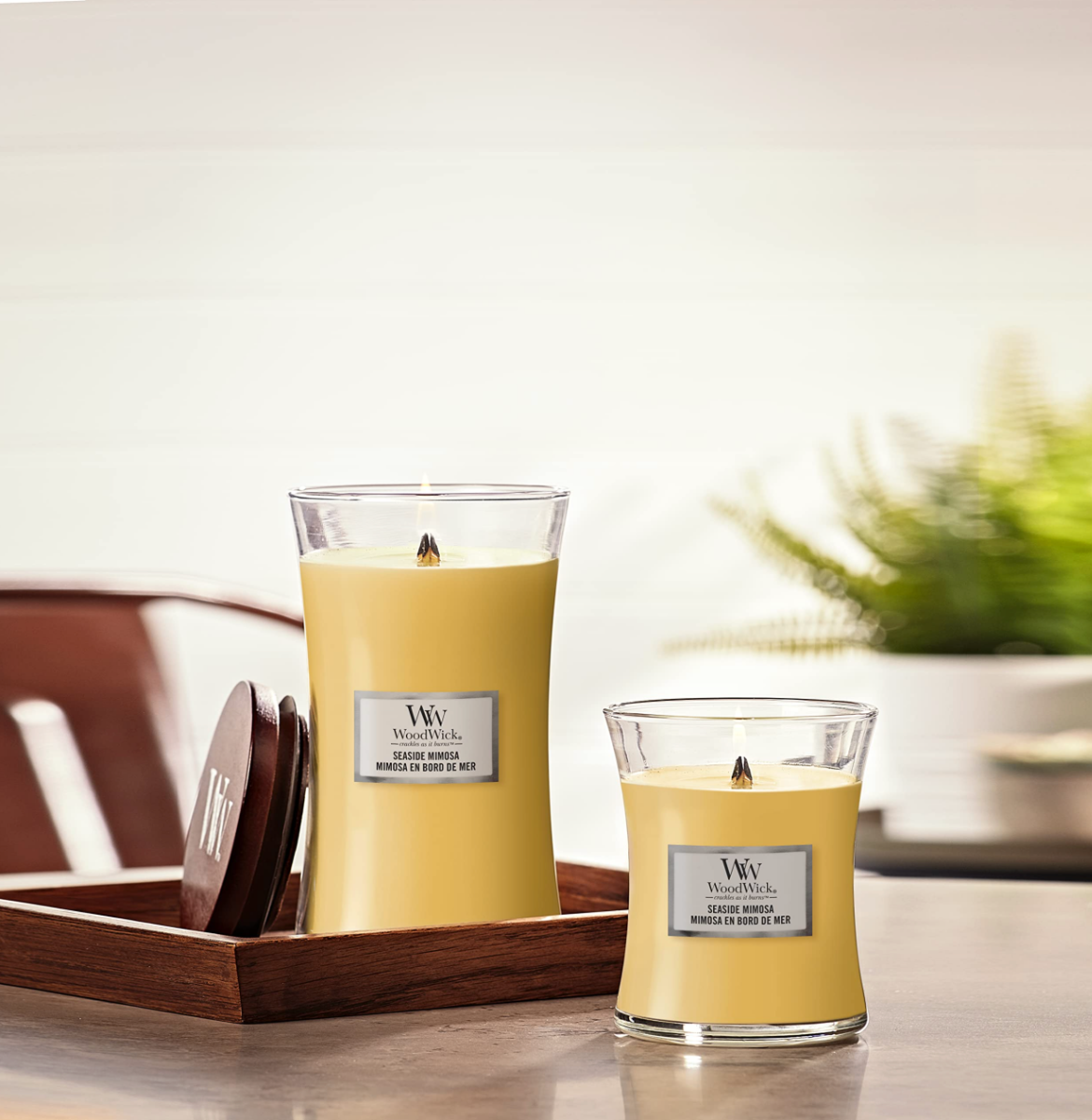 WOODWICK CANDLE MEDIUM SEASIDE MIMOSA