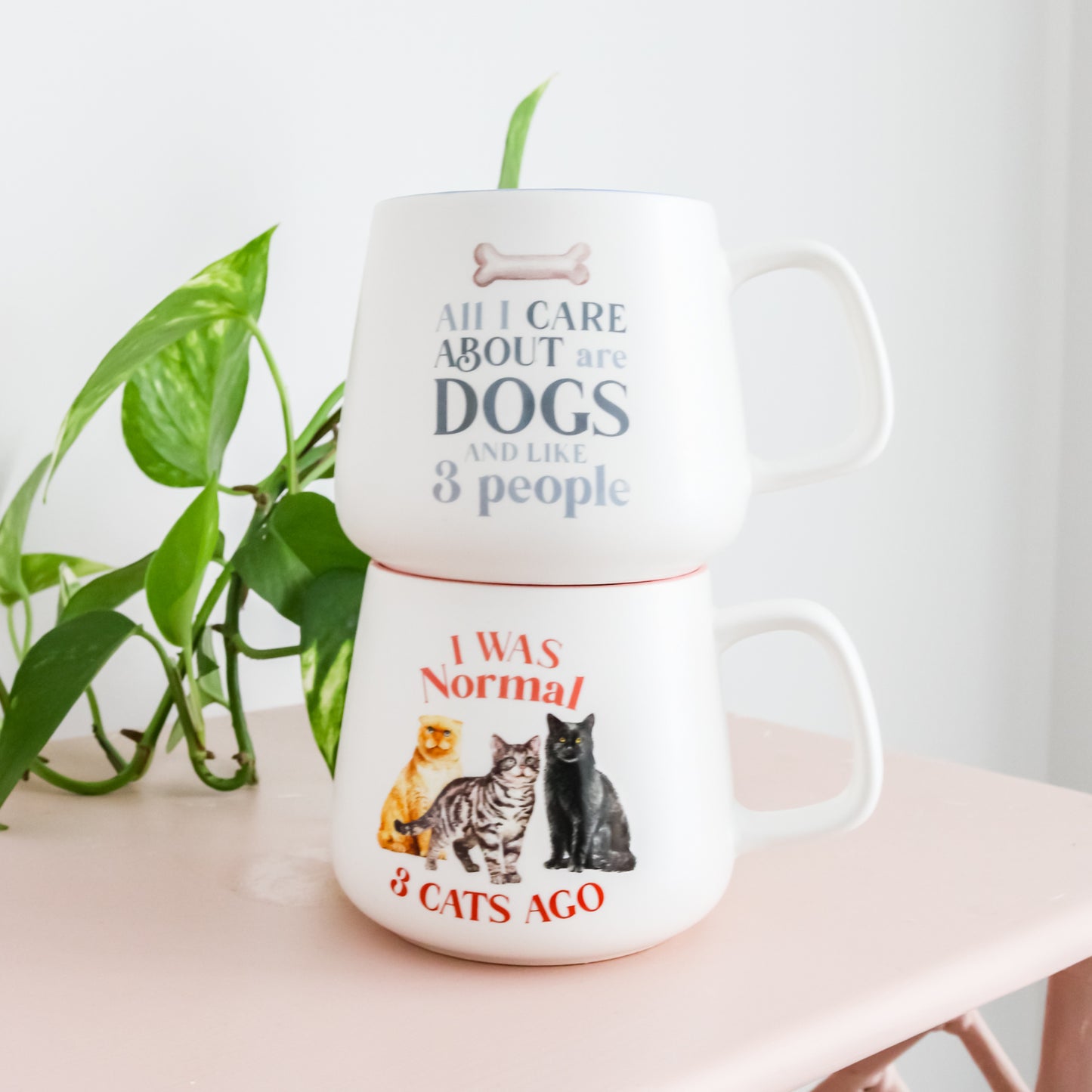 PET MUG ALL I CARE ABOUT ARE DOGS AND LIKE 3 PEOPLE