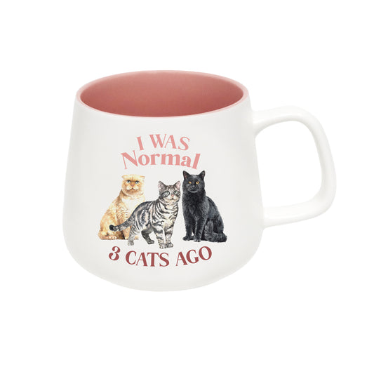 PET MUG I WAS NORMAL 3 CATS AGO