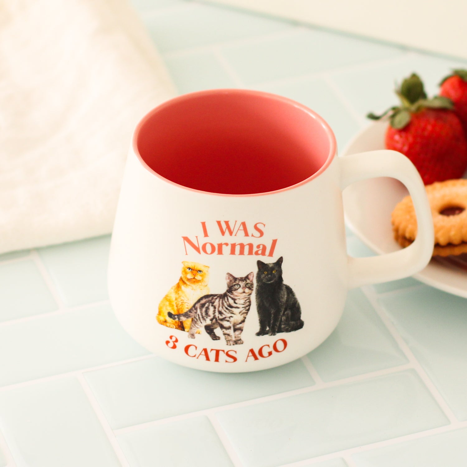 PET MUG I WAS NORMAL 3 CATS AGO