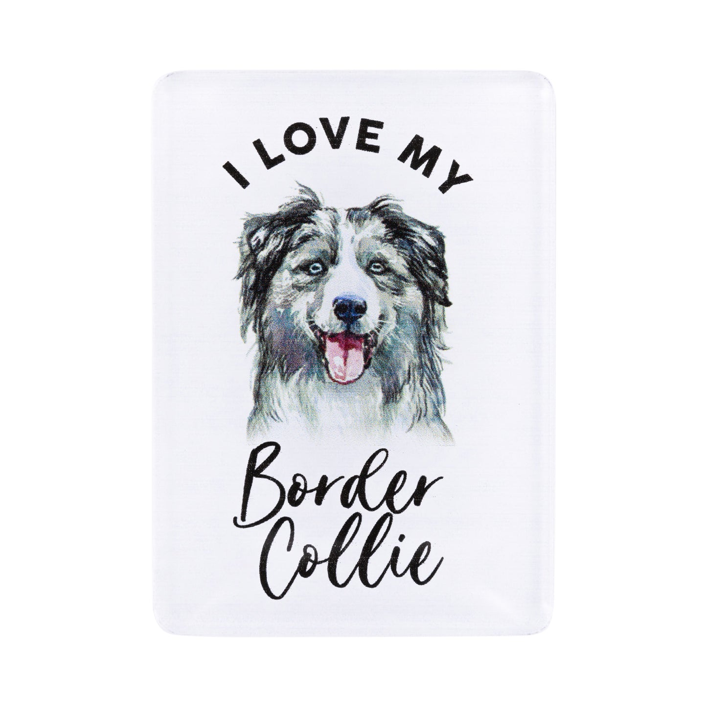 I LOVE MY PET ACRYLIC MAGNET BORDER COLLIE