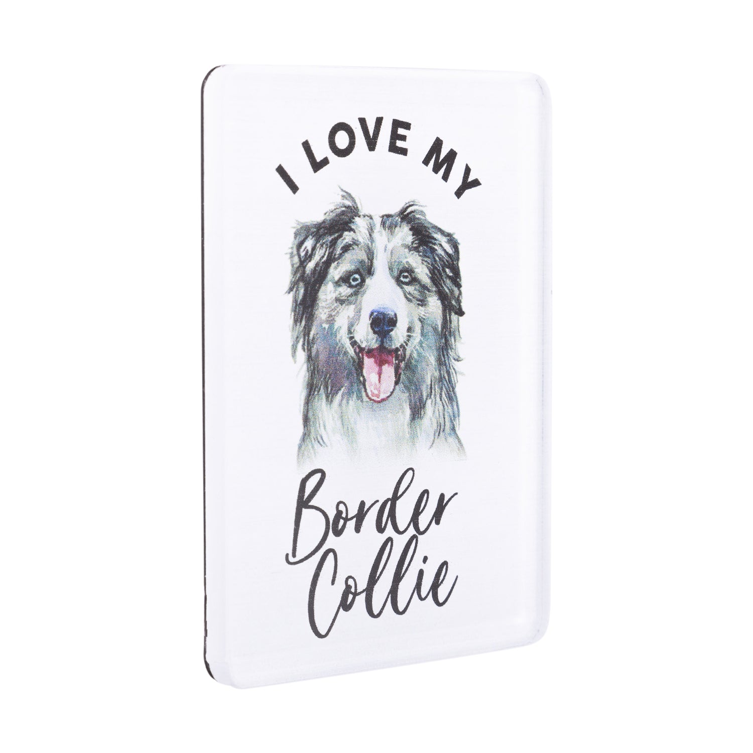 I LOVE MY PET ACRYLIC MAGNET BORDER COLLIE