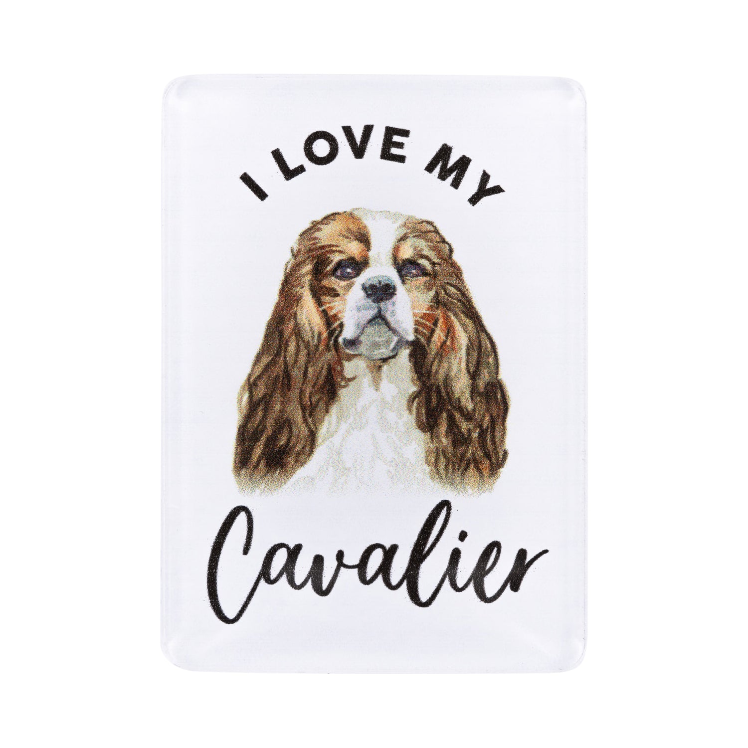 I LOVE MY PET ACRYLIC MAGNET CAVALIER