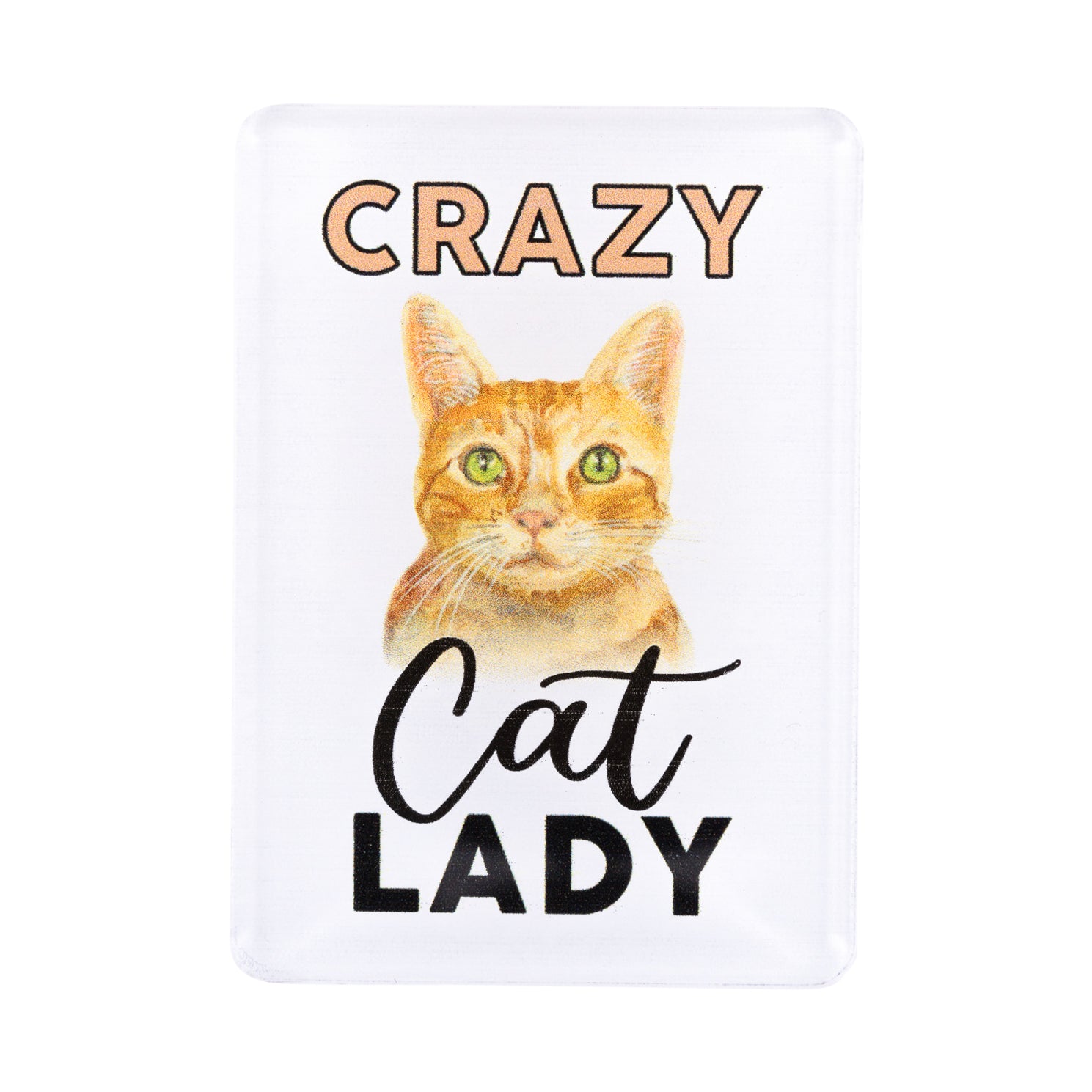 I LOVE MY PET ACRYLIC MAGNET CRAZY CAT LADY