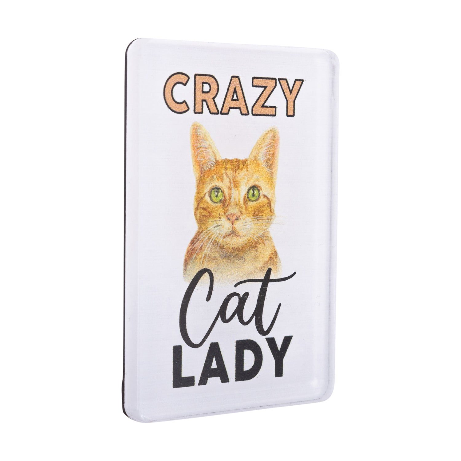 I LOVE MY PET ACRYLIC MAGNET CRAZY CAT LADY