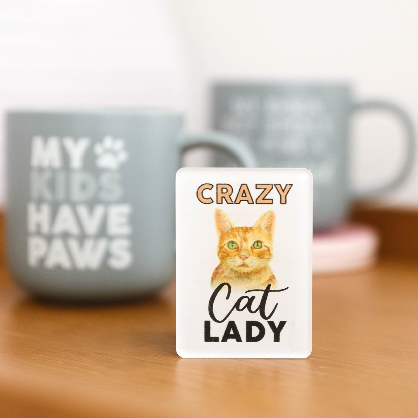 I LOVE MY PET ACRYLIC MAGNET CRAZY CAT LADY