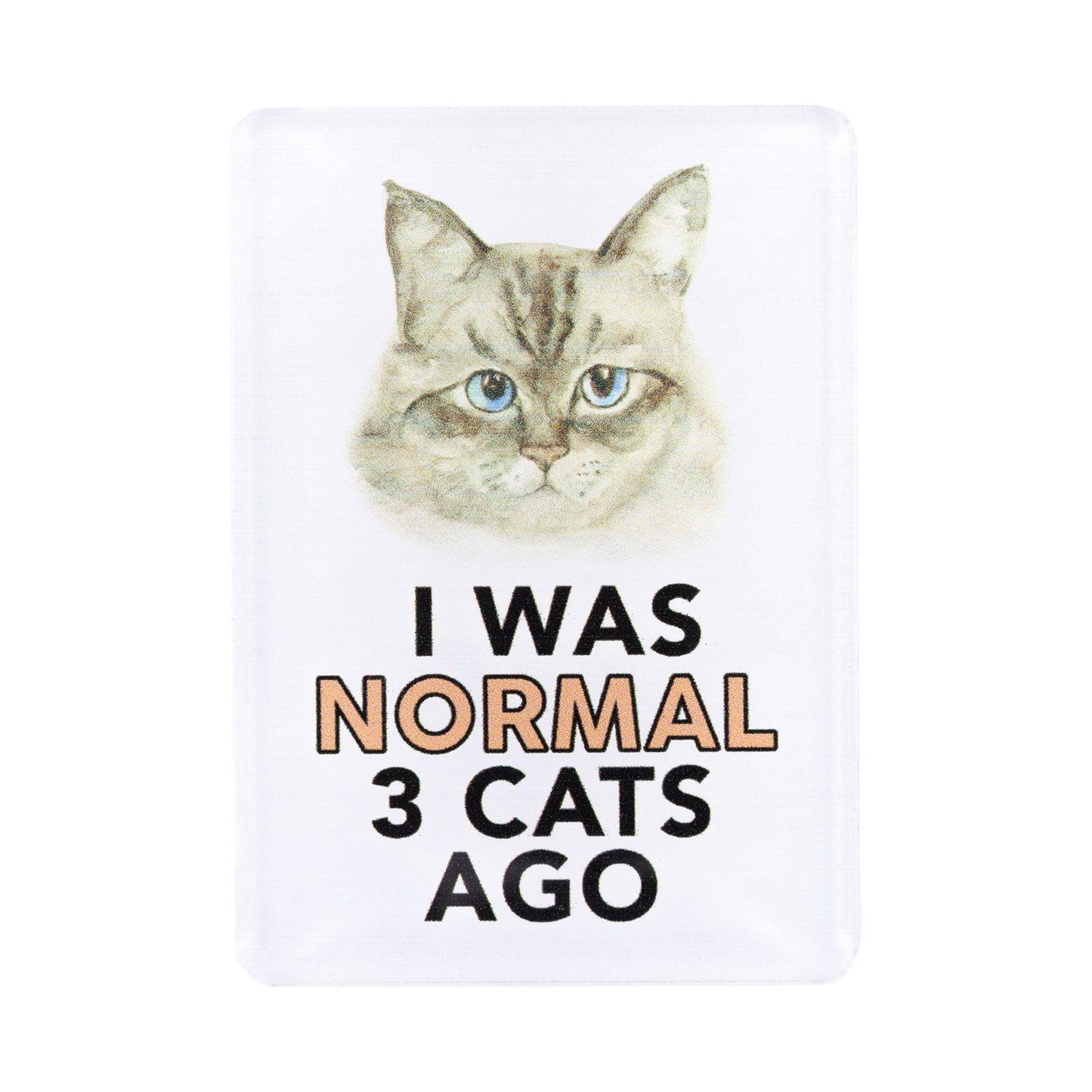 I LOVE MY PET ACRYLIC MAGNET I WAS NORMAL 3 CATS AGO