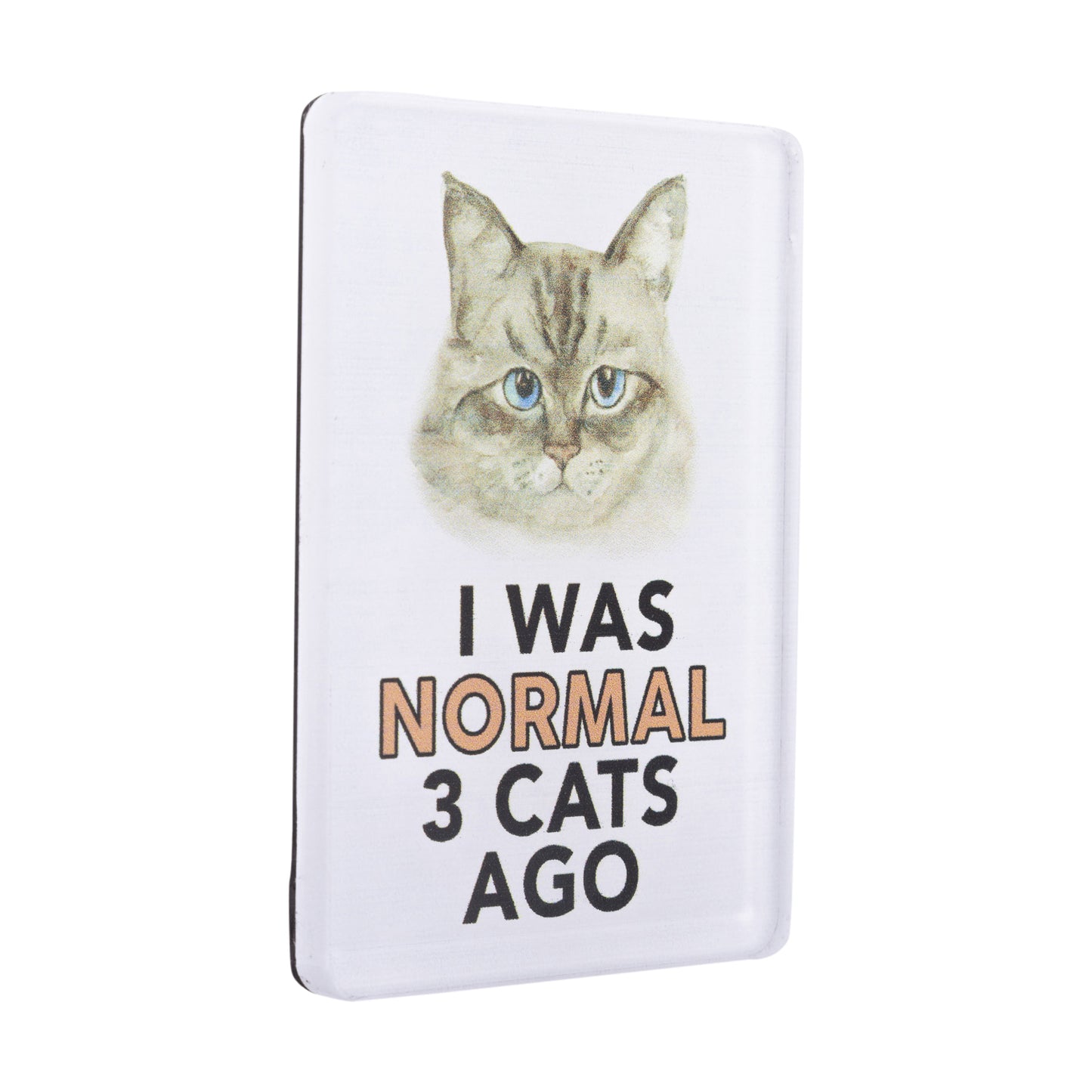 I LOVE MY PET ACRYLIC MAGNET I WAS NORMAL 3 CATS AGO