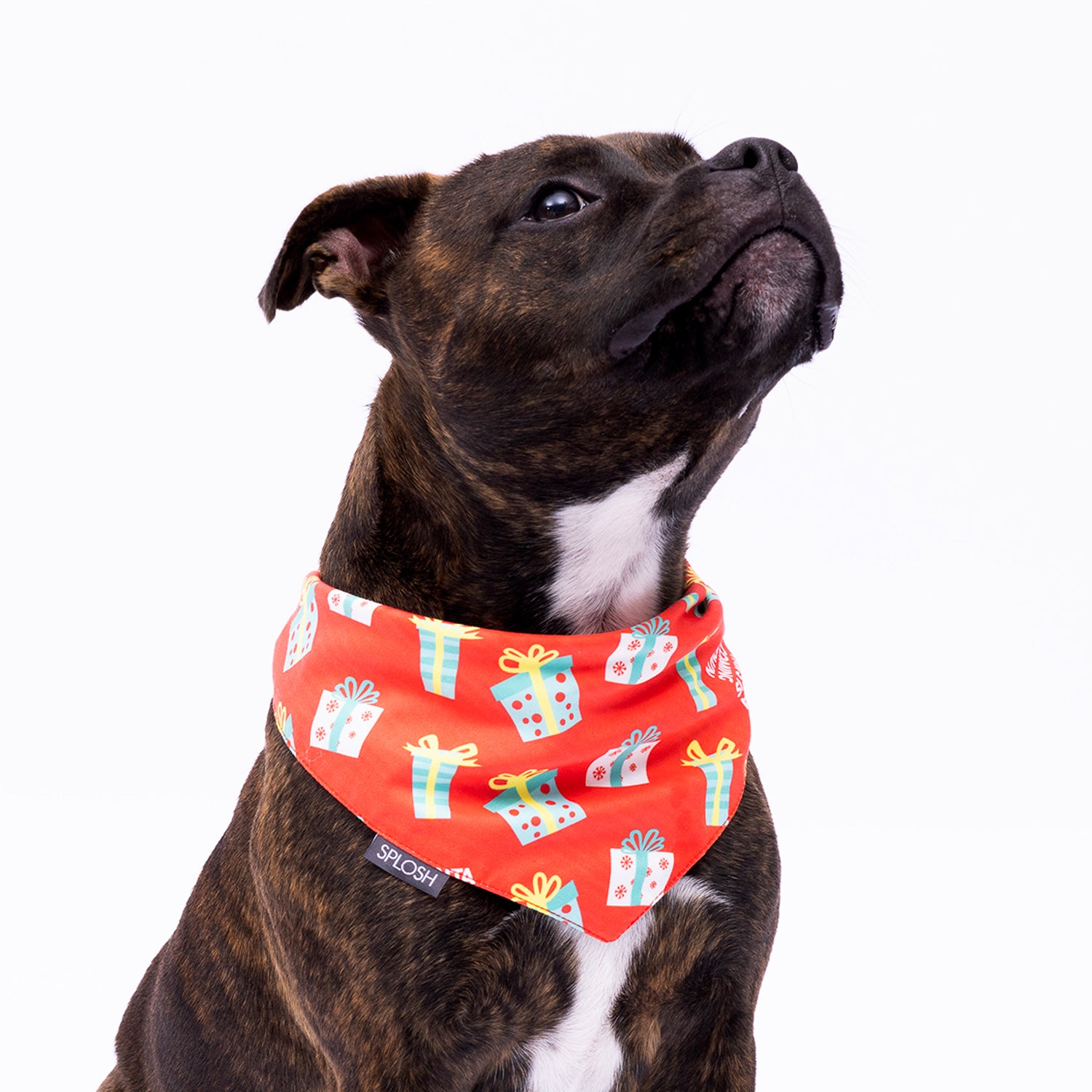 CHRISTMAS DOG BANDANA PRESENTS DESIGN