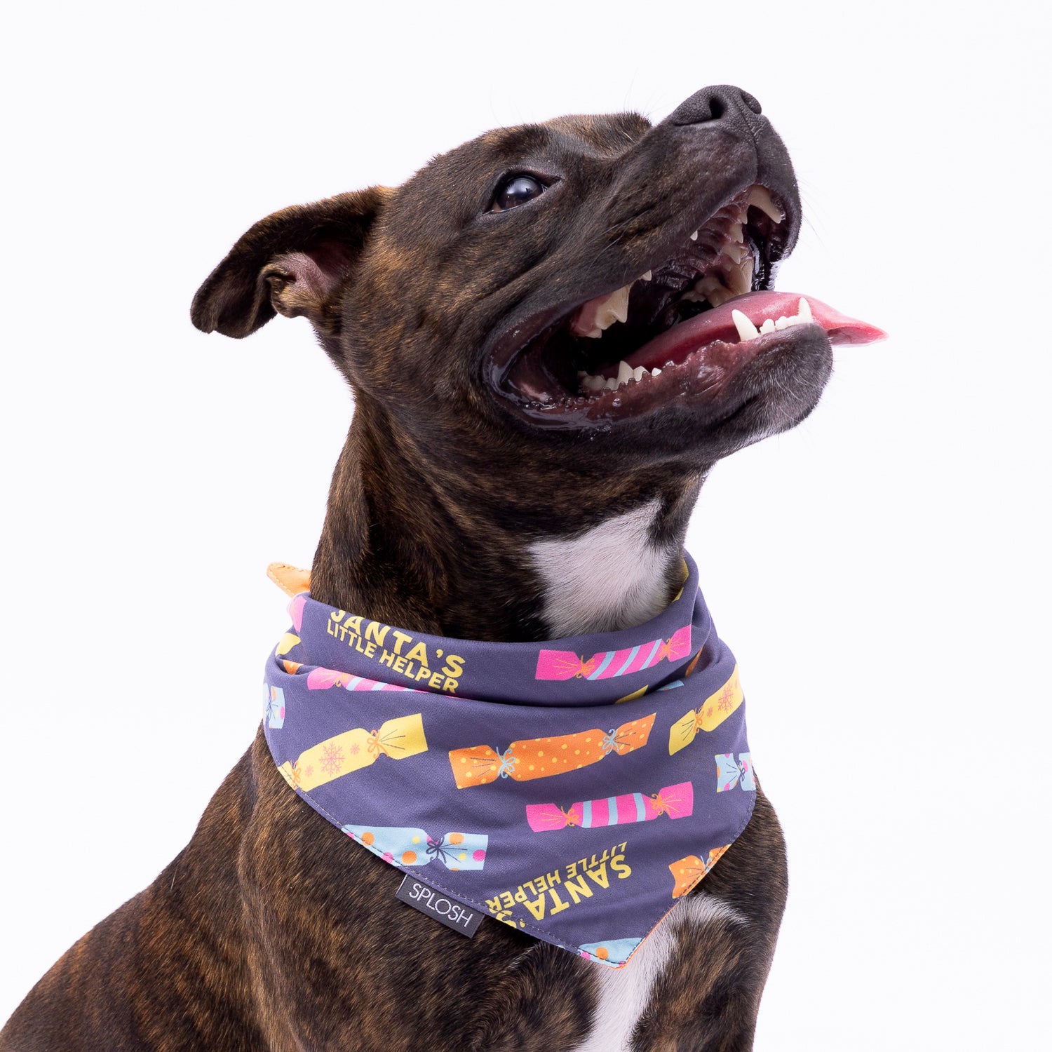 CHRISTMAS DOG BANDANA CRACKERS DESIGN