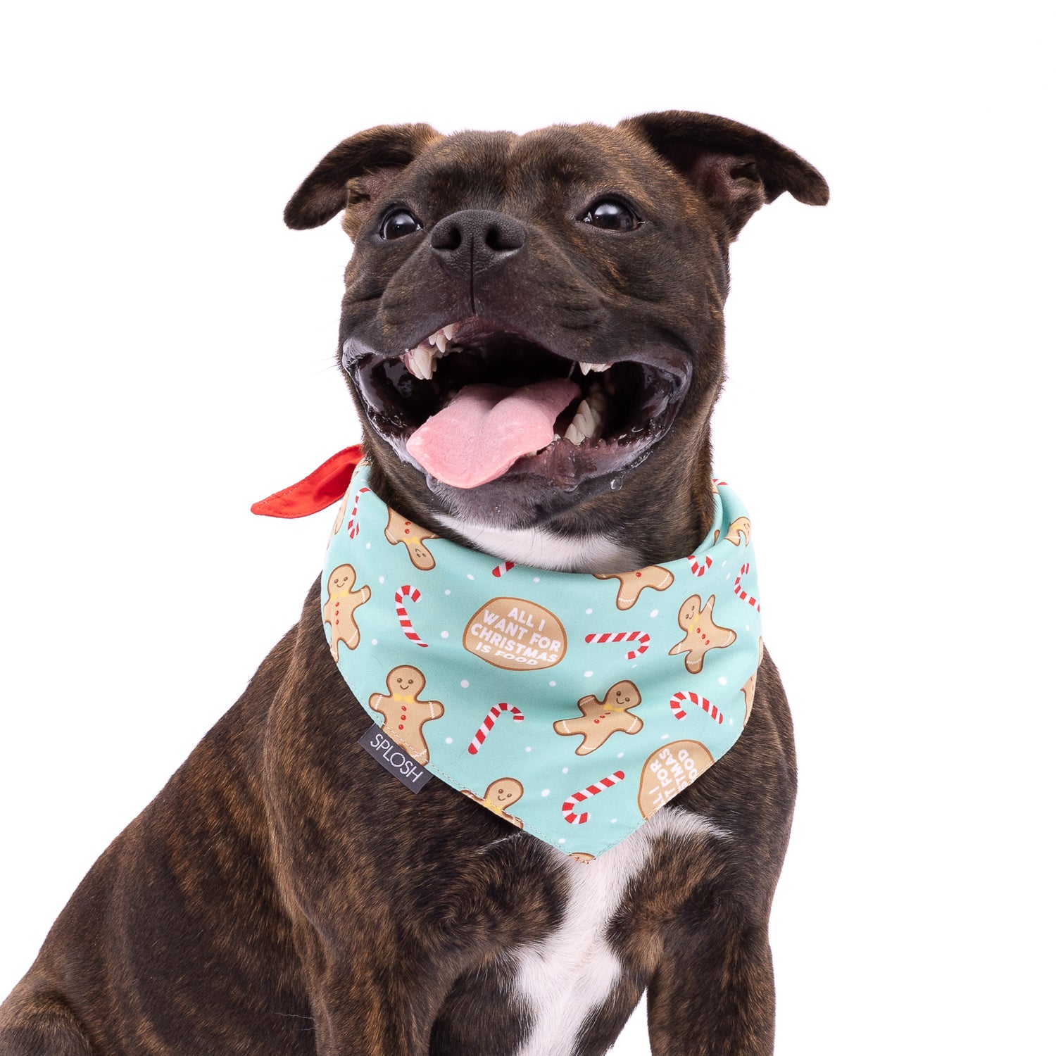 CHRISTMAS DOG BANDANA GINGERBREAD DESIGN