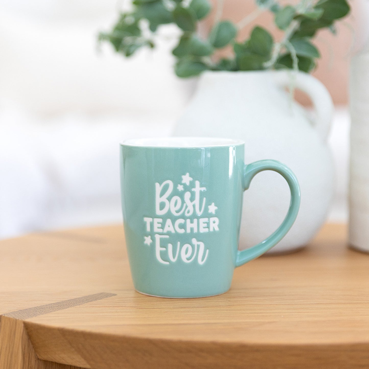 TEACHER MUG BEST TEACHER