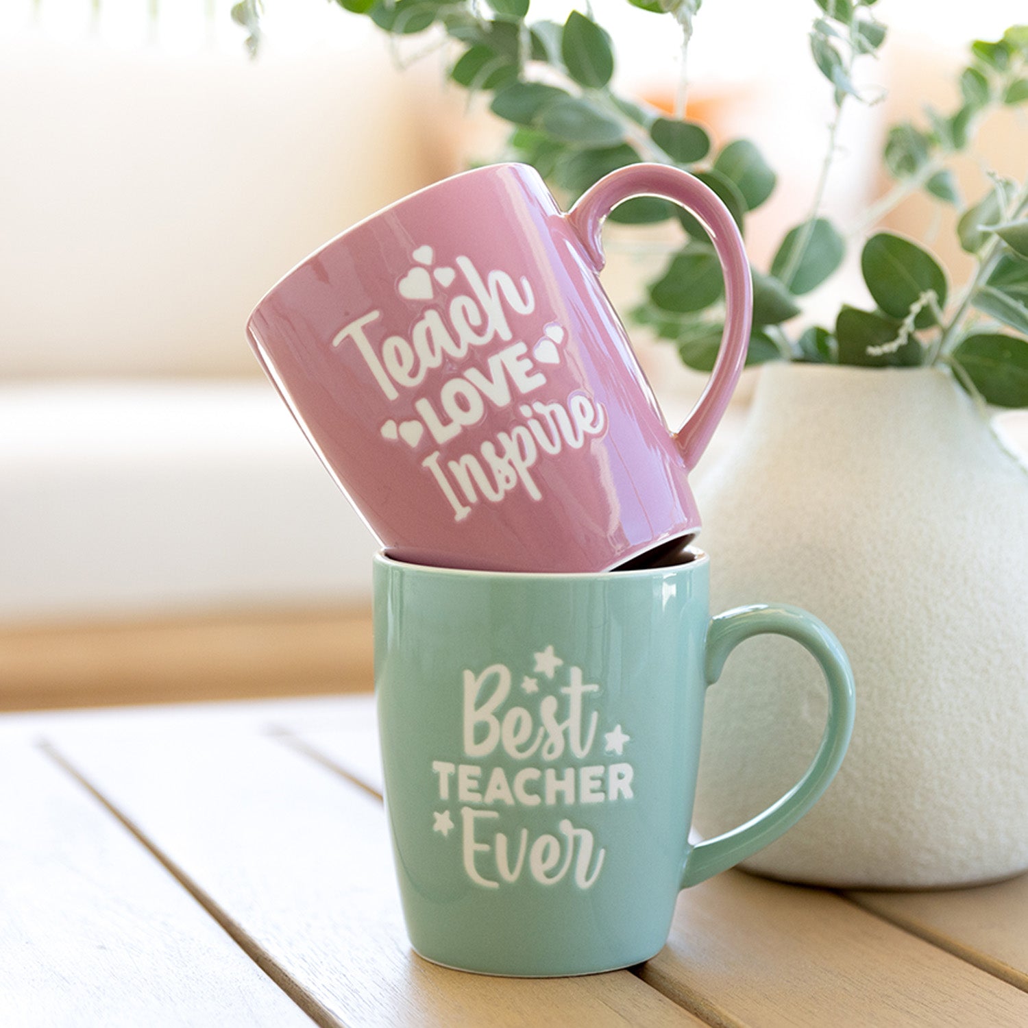 TEACHER MUG BEST TEACHER