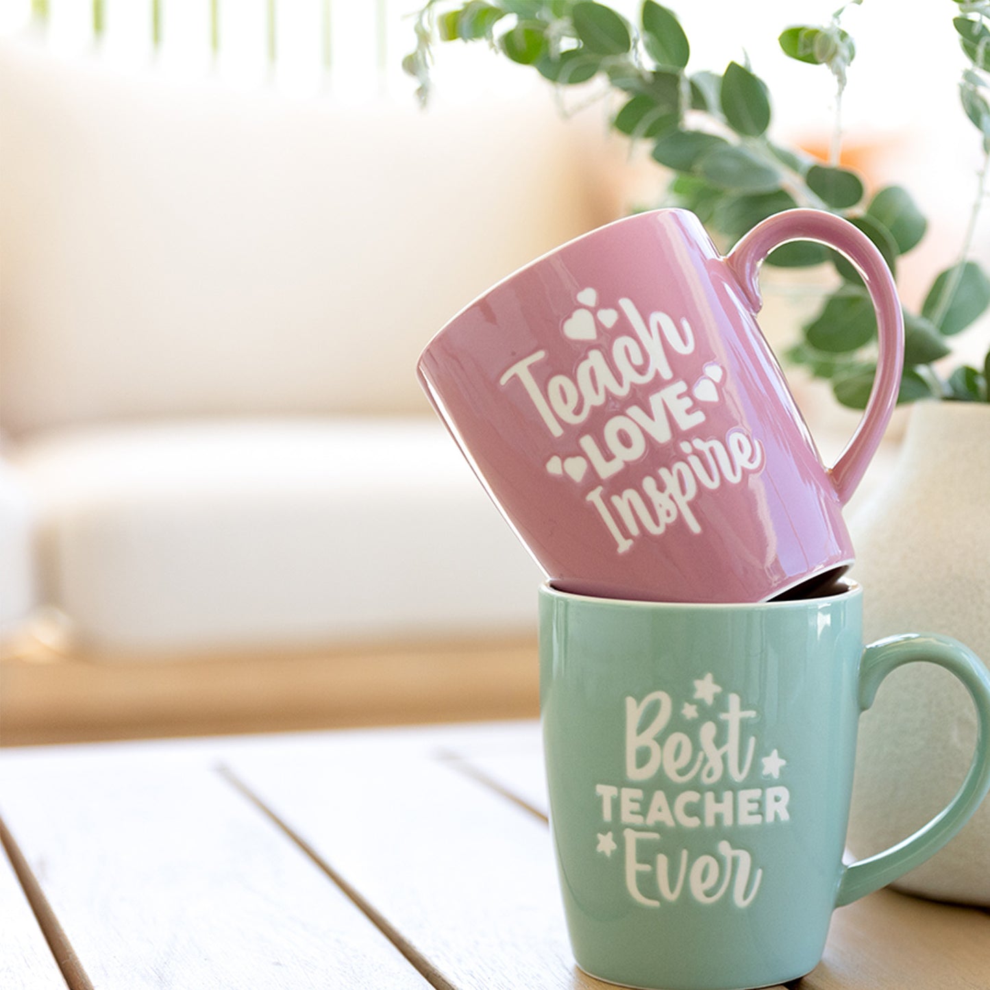 TEACHER MUG INSPIRE