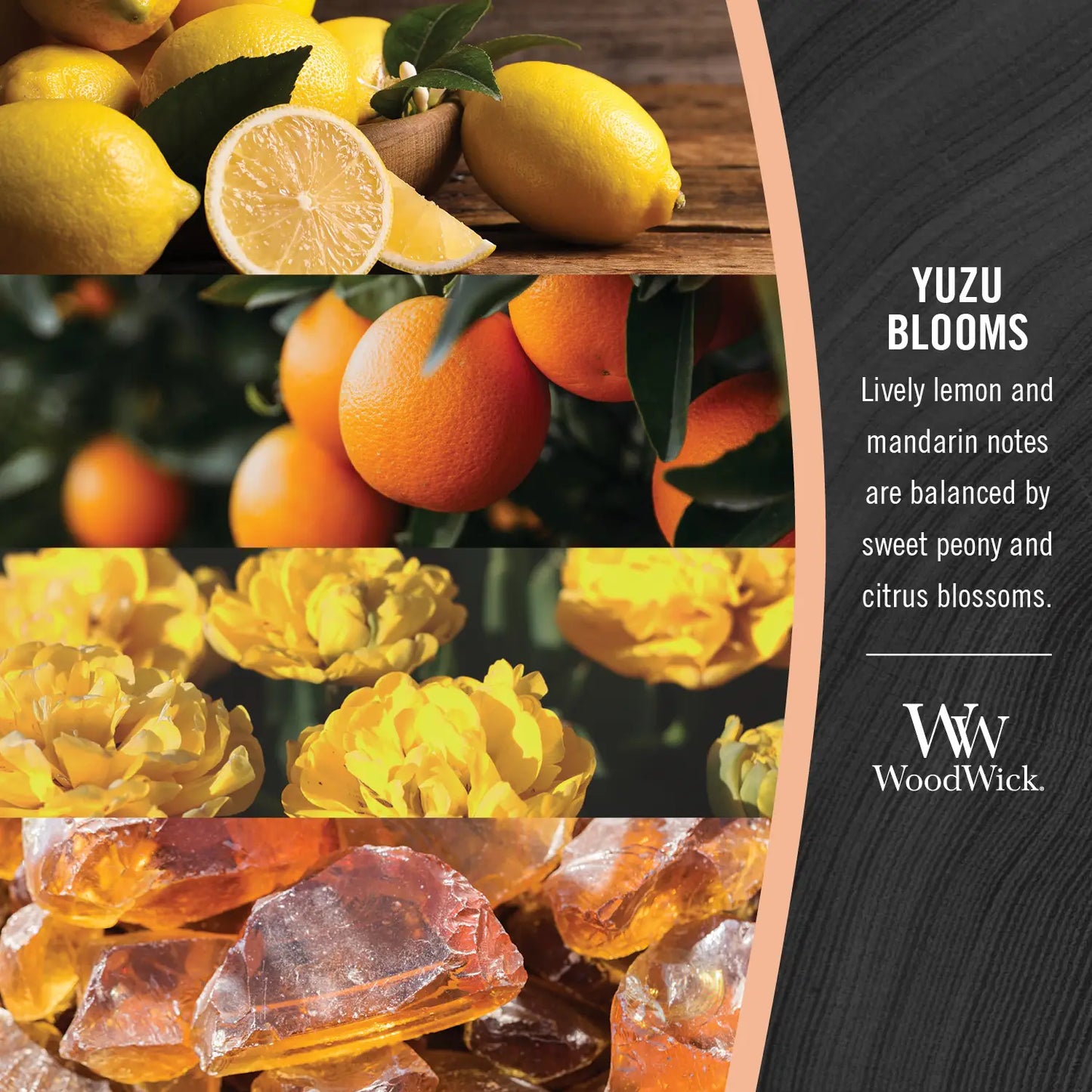 WoodWick Candle Medium Yuzu