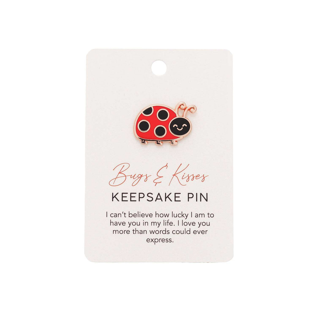 Valentine's Day Ladybug Keepsake Pin "Bugs & Kisses"