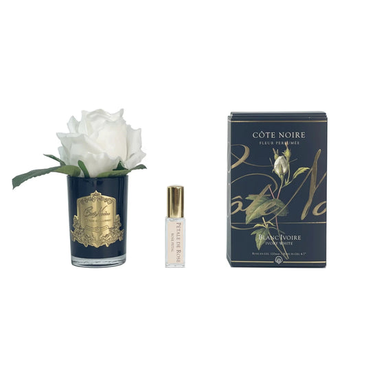 Cote Noire Rose Bud Perfumed Natural Touch Ivory White Black Glass With Gold Crest