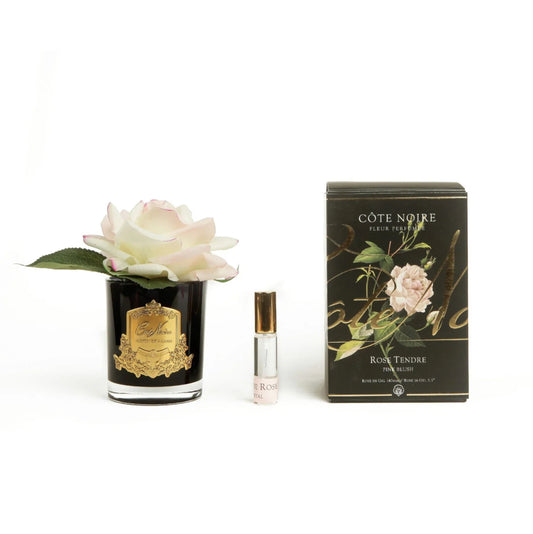 Cote Noire Single French Rose Perfumed Natural Touch Pink Blush In Black Glass With Gold Crest