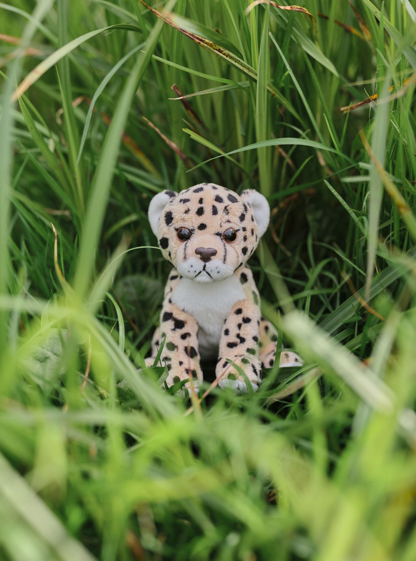CHARLIE BEARS CUDDLE CUBS LEOPARD