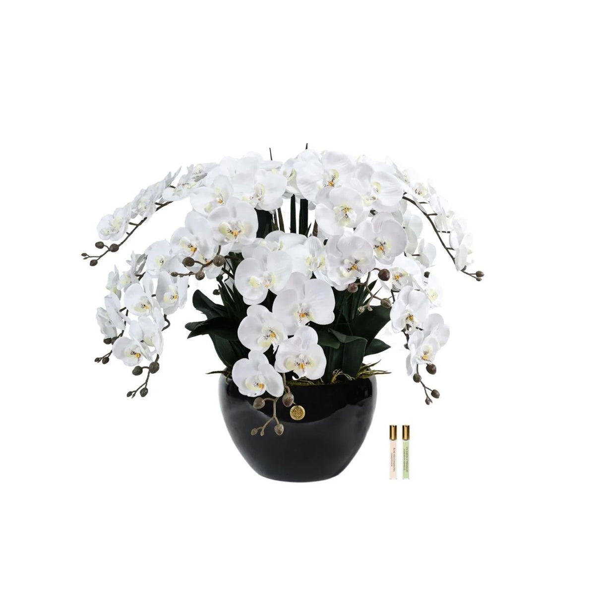 Cote Noire Luxory Giant Orchid Ivory White In Piano Black Vase With Gold Crest