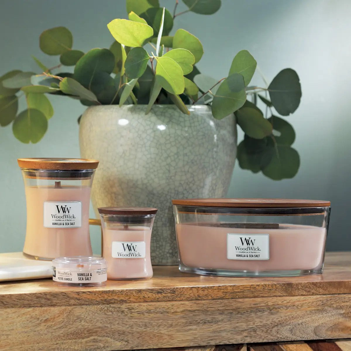 WoodWick Candle Vanilla & Sea Salt Medium