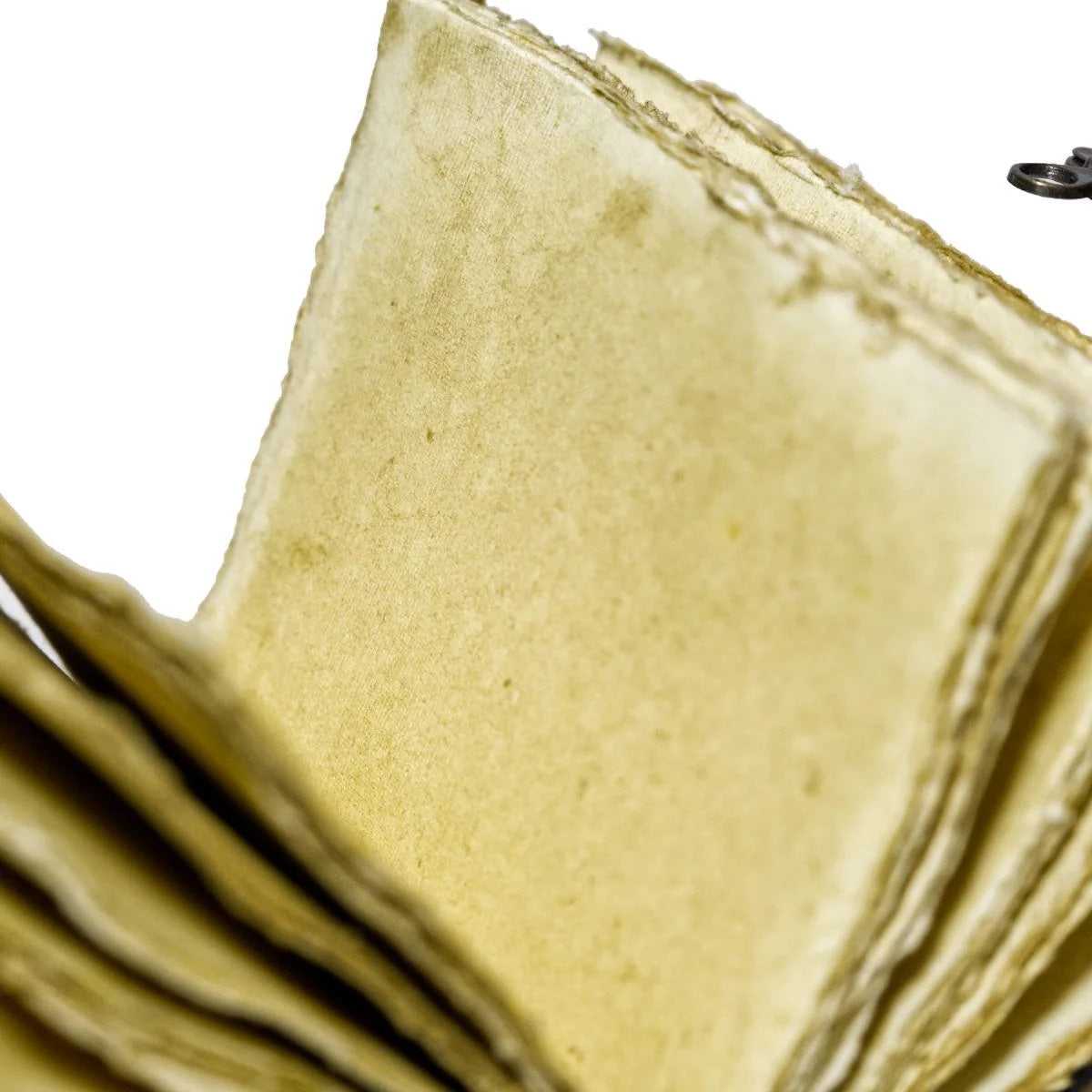 Leather Journal Parchment Style Paper Tree Of Stones