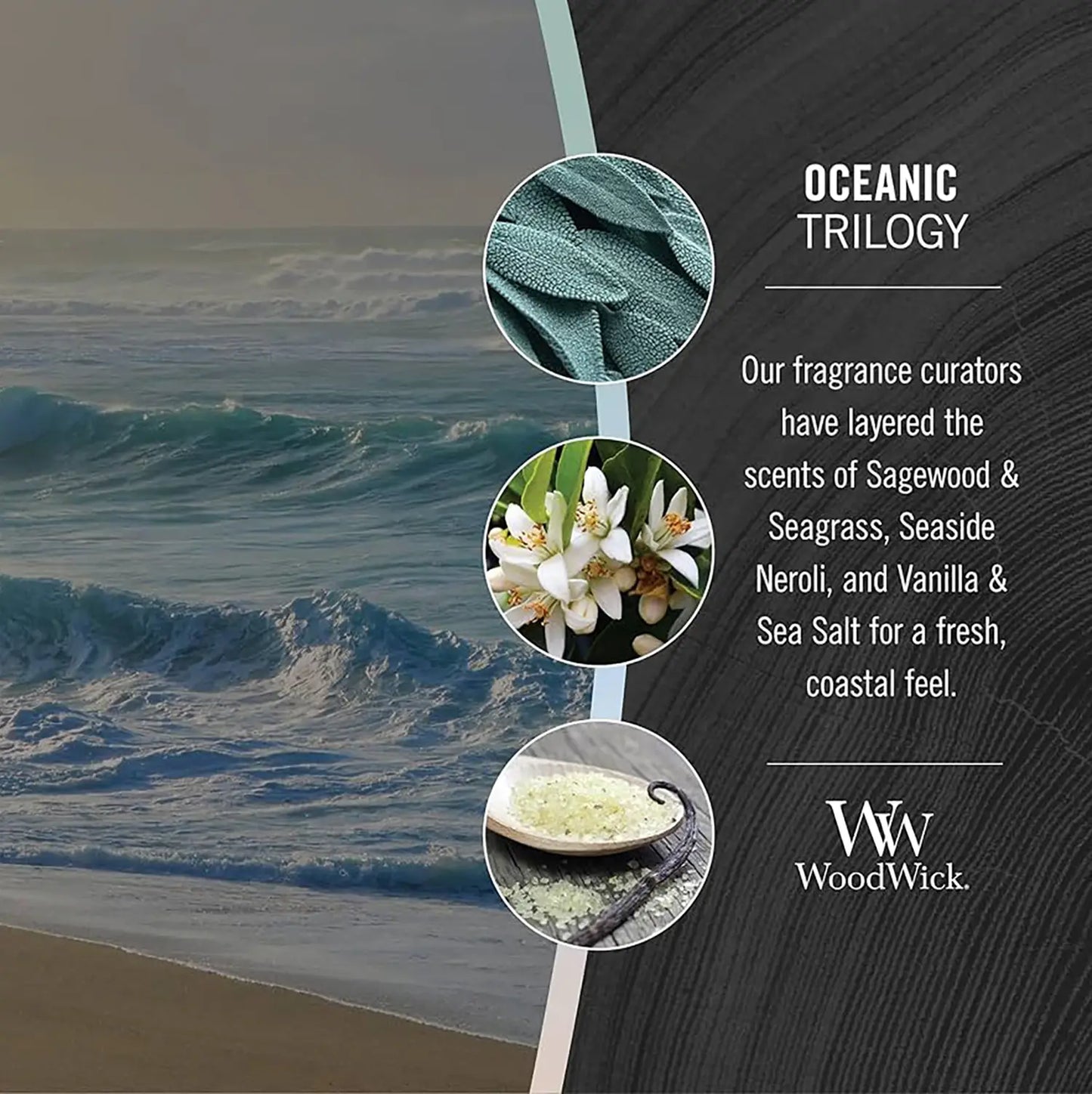 WoodWick Candle Medium Oceanic Trilogy