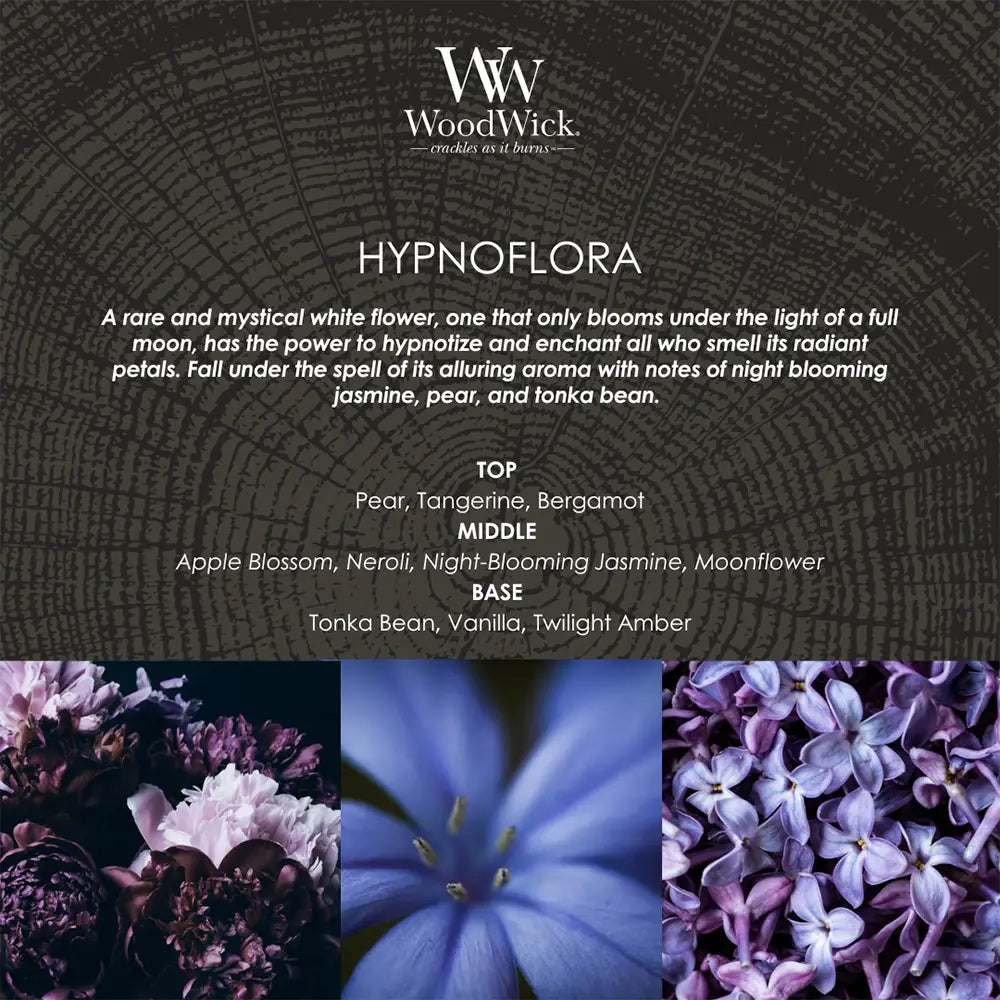 WoodWick Candle Hypnoflora Medium