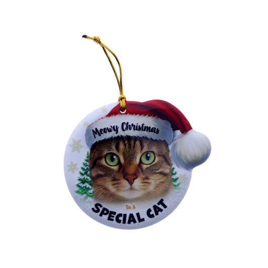 Christmas Sentiment Ceramic Plaque Special Cat Grey