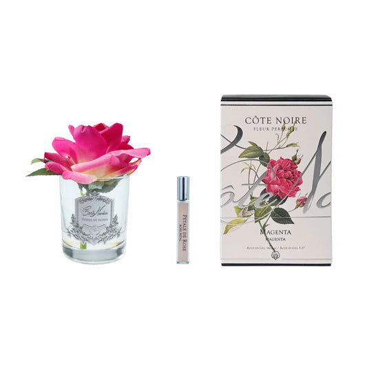 Cote Noire Single French Rose Perfumed Natural Touch Magenta Clear Glass With Silver Crest