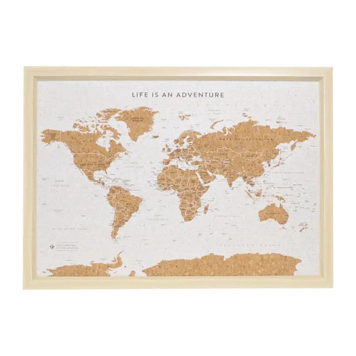 World Map Travel Board
