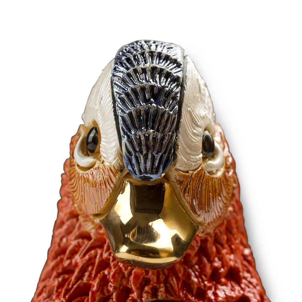 RINCONADA DE ROSA MANDARIN DUCK