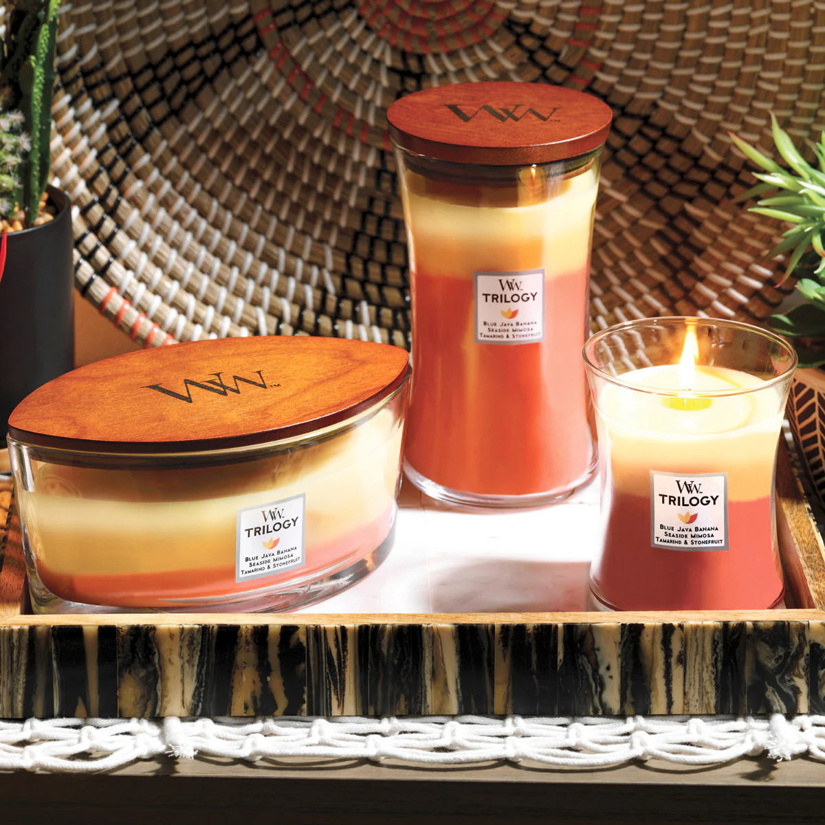 Woodwick Candle Hearthwick Ellipse Tropical Sunrise Trilogy