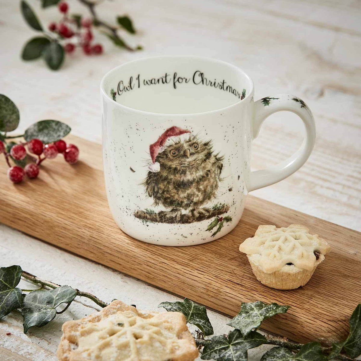 Royal Worcester Wrendale Designs Mug Owl