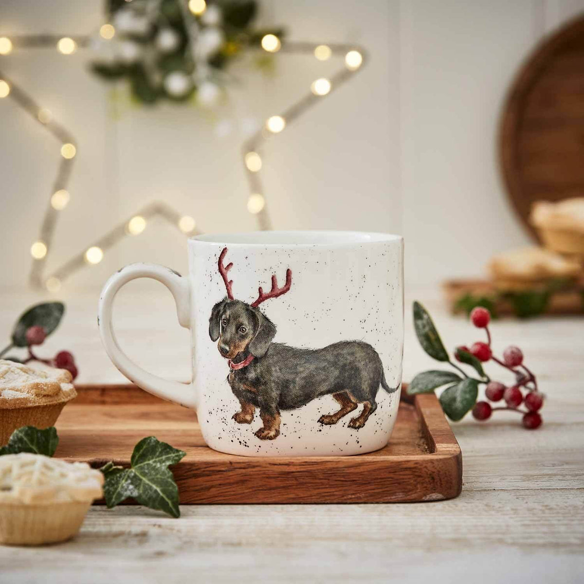 Royal Worcester Wrendale Designs Mug Dachshund
