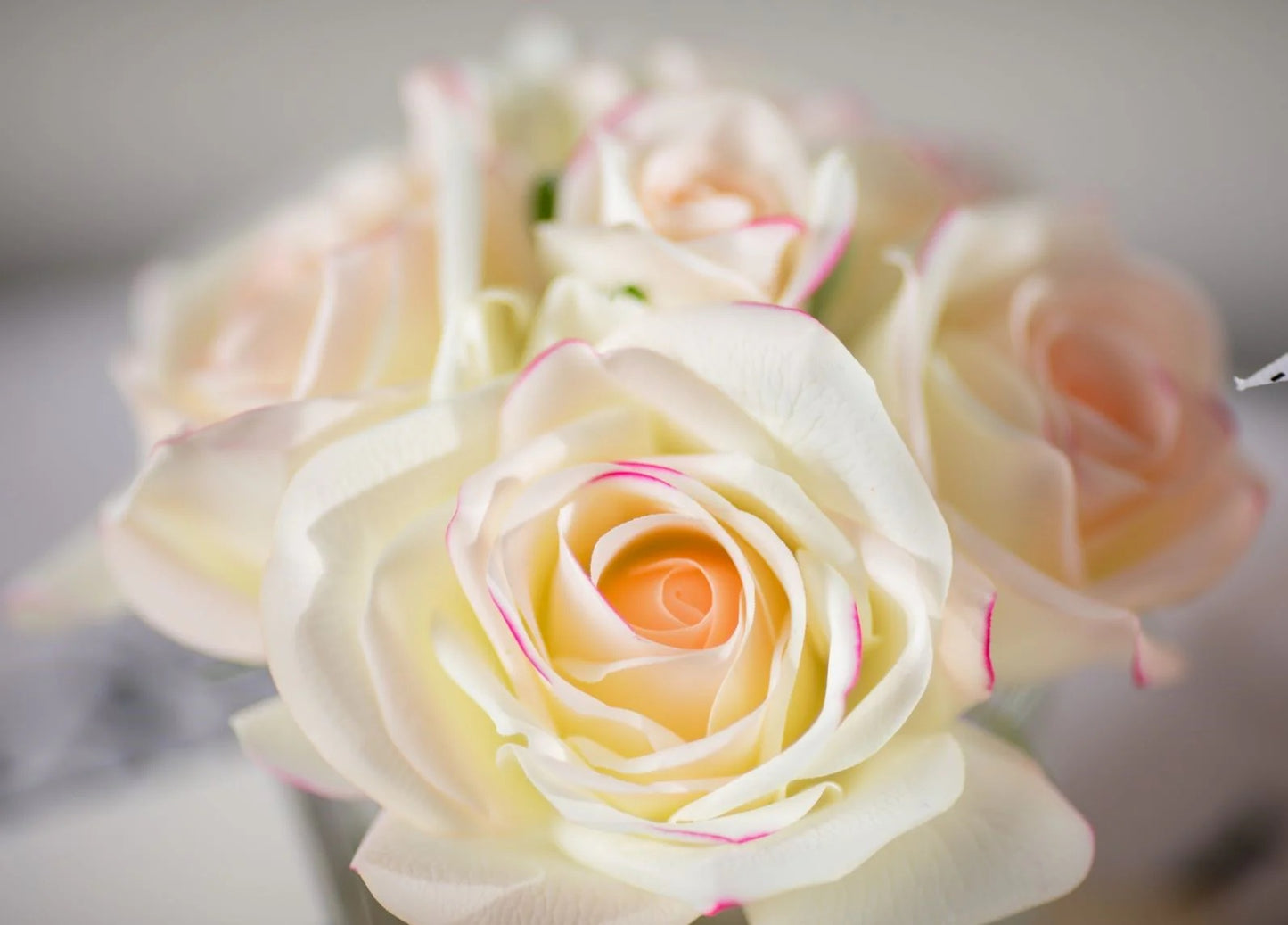 Cote Noire Five Roses Pink Blush Black Glass with Gold Crest