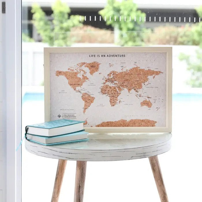 World Map Travel Board