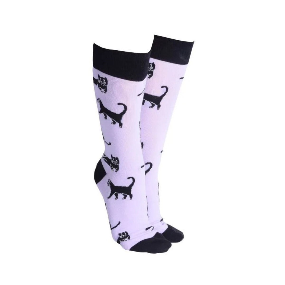 Sock Society Black Cats