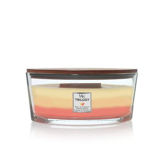 Woodwick Candle Hearthwick Ellipse Tropical Sunrise Trilogy