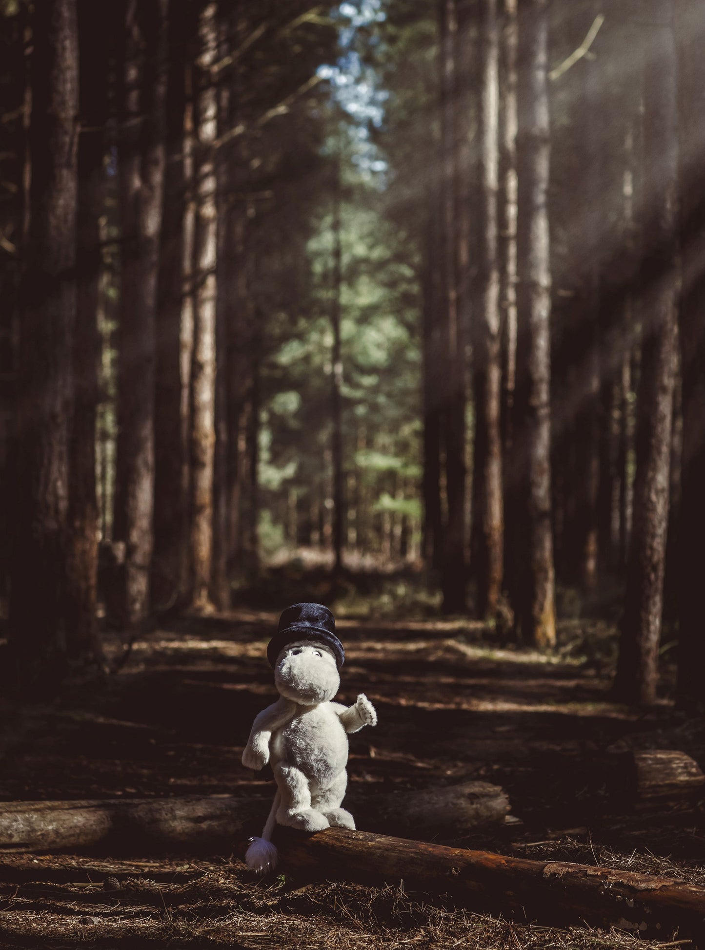 MOOMIN BY CHARLIE BEARS MOOMINPAPPA