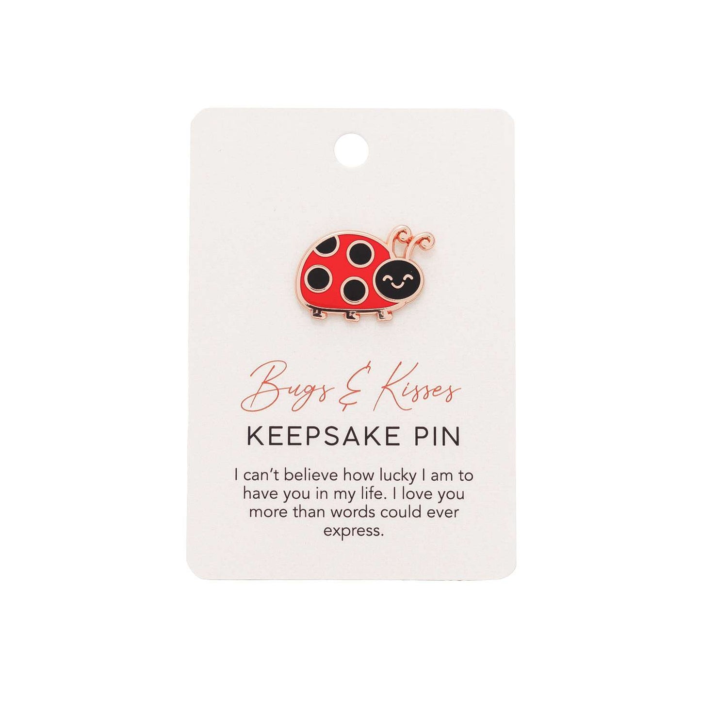 Valentine's Day Ladybug Keepsake Pin "Bugs & Kisses"