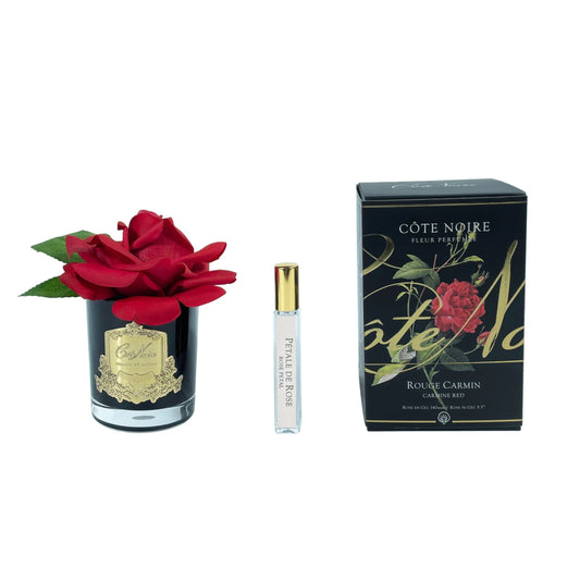 Cote Noire Single French Rose Perfumed Natural Touch Red In Black Glass With Gold Crest